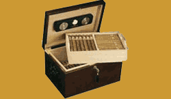 cigar humidor